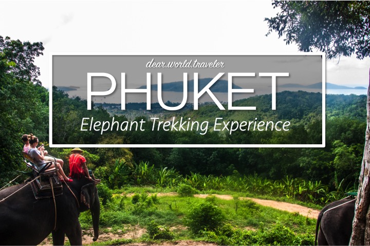 DearWorldTraveler - Elephant Trekking in Phuket